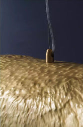 Golden Banana Leaf LED Chandelier in Art Deco Style - Bulb Included